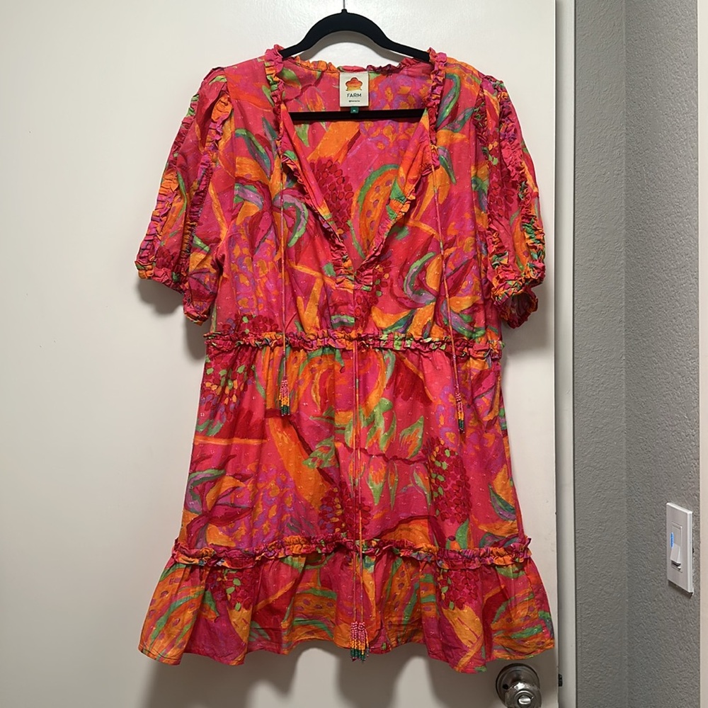Colorful Farm Rio Dress